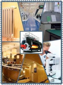 山東廠家長期供應進口燃燒器及2噸燃氣蒸汽鍋爐，提供全面技術咨詢